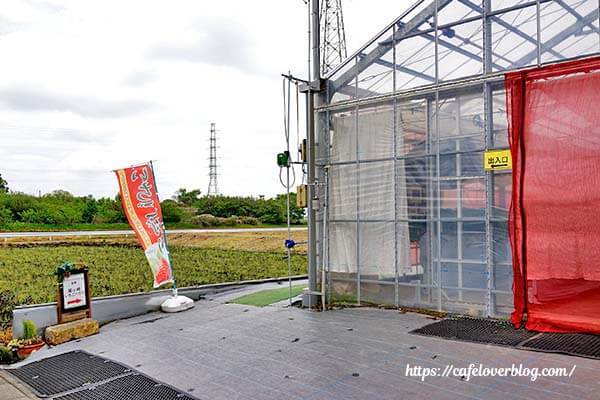 グリーンファーム岩槻 尾ヶ崎いちごハウスの外観