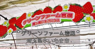 グリーンファーム岩槻 尾ヶ崎いちごハウスの記事アイキャッチ