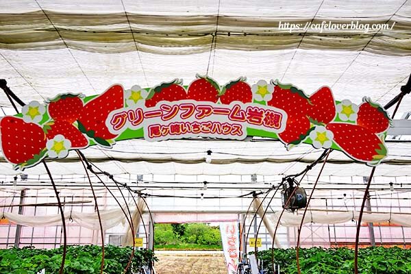 グリーンファーム岩槻 尾ヶ崎いちごハウスの看板