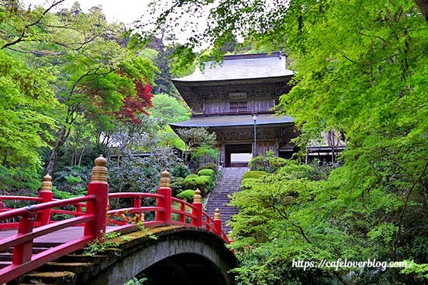 栃木県大田原市にある雲巌寺と青もみじ