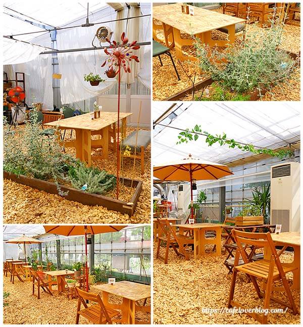 東京都板橋区にあるおいしい野菜塾のカフェcha.yaの店内