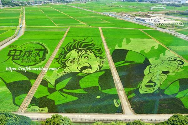 埼玉県行田市古代蓮の里の鬼滅の刃田んぼアート
