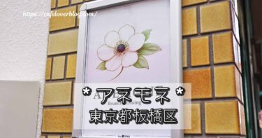 板橋区赤塚のANEMONE(アネモネ)の記事アイキャッチ